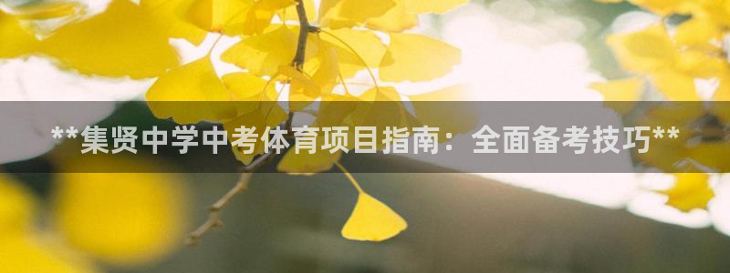 星欧娱乐