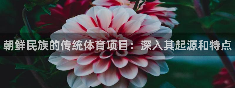 江苏星奥娱乐有限公司招聘