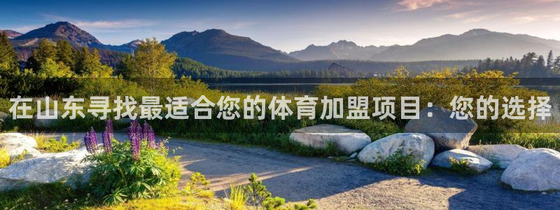 星游娱乐1官网下载