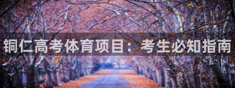 星欧娱乐官方客服联系方式电话