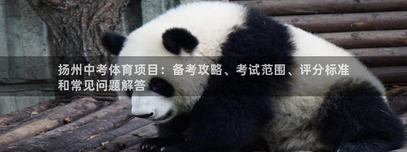 星欧娱乐app最新版本更新内容是什么