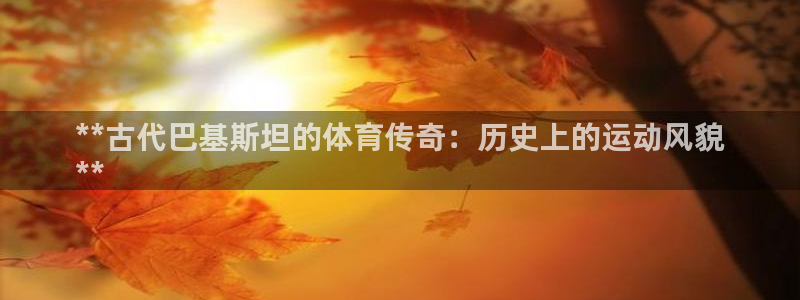 星欧娱乐扣款时间查询方法怎么查的