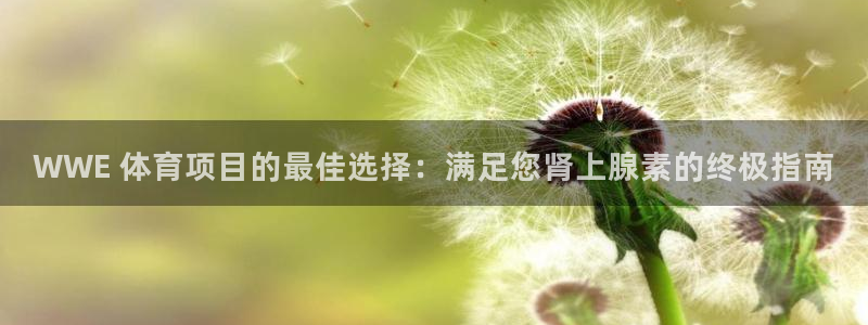 星欧娱乐官网首页下载