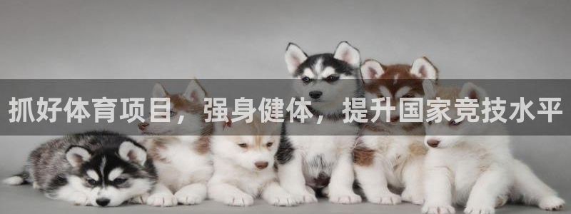星奥娱乐集团怎么样