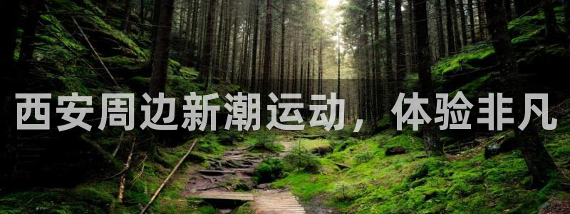 星欧娱乐平台怎么样可靠吗