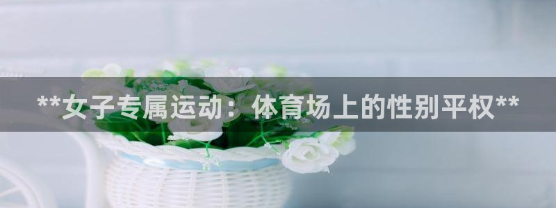 星欧娱乐挂机教程