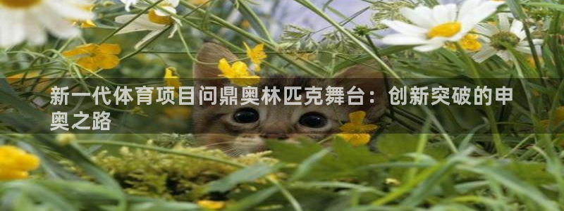 星欧娱乐工711.112怎么没有了