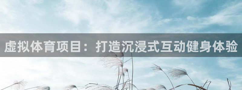 江苏星奥娱乐有限公司报名