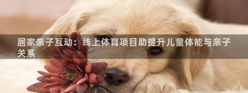 星欧娱乐扣款时间查询方法是什么意思