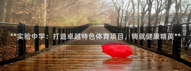 星欧娱乐总代.直开.中国