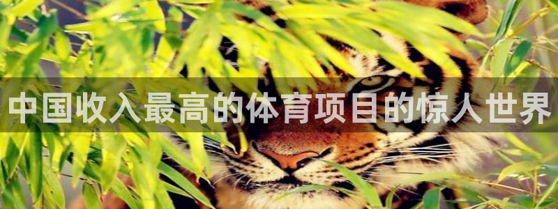 星欧娱乐官网下载安装