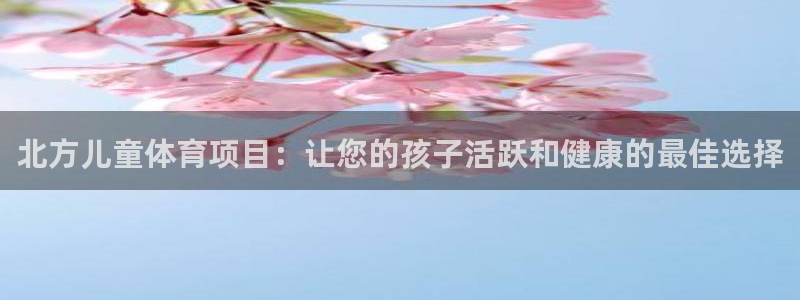 星欧娱乐扣款流程详解图片大全