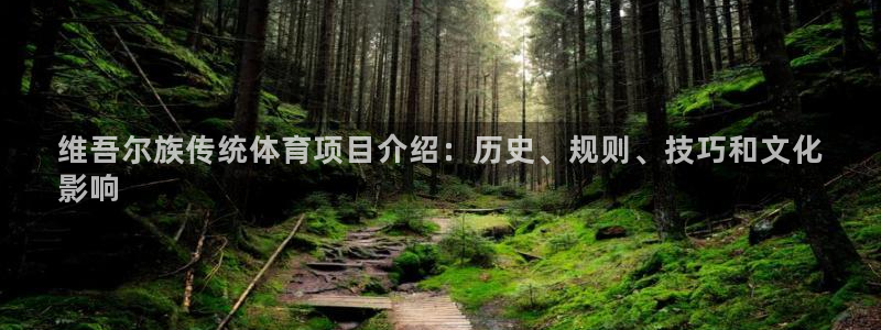 星娱乐文化传媒