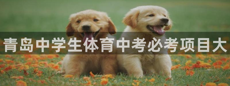 星乐娱乐官网