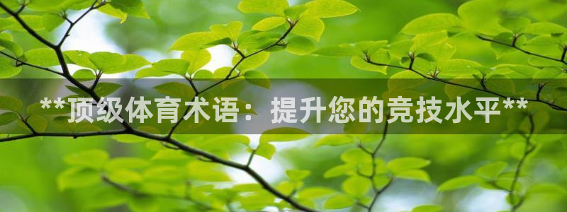 星欧娱乐扣款时间查询方法是什么样的