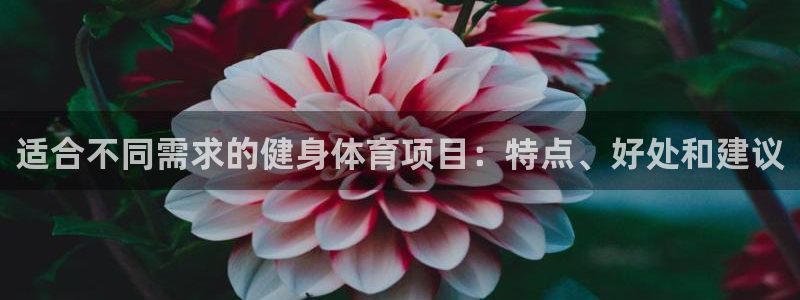 星欧娱乐扣款流程详解