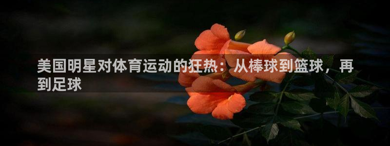 星欧娱乐最建议买的三个产品是哪三个