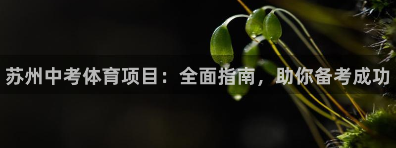 星欧娱乐被扣款7IIII怎么关闭