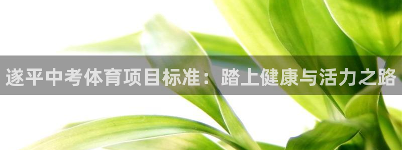 星欧娱乐平台