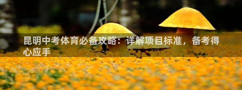 星奥娱乐待遇怎么样