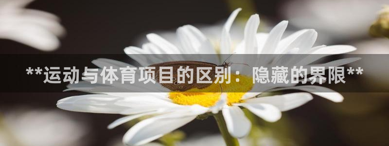 星欧娱乐扣款时间查询方法