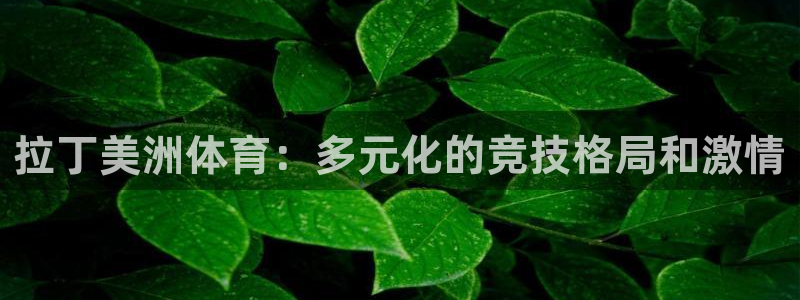星欧娱乐的创始人背景故事是什么