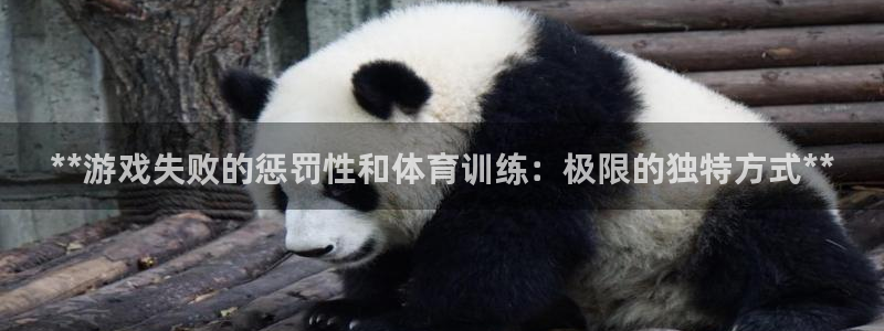 星欧娱乐24小时客服电话