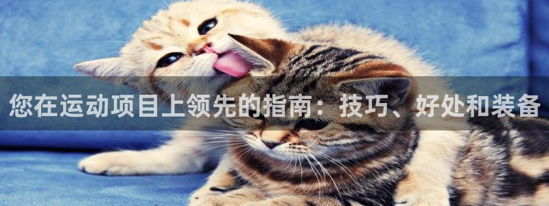 星欧娱乐属于什么档次的软件