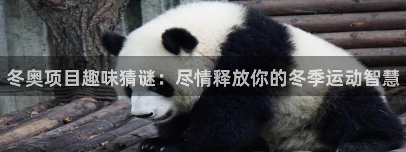 星奥娱乐集团股份有限公司招聘