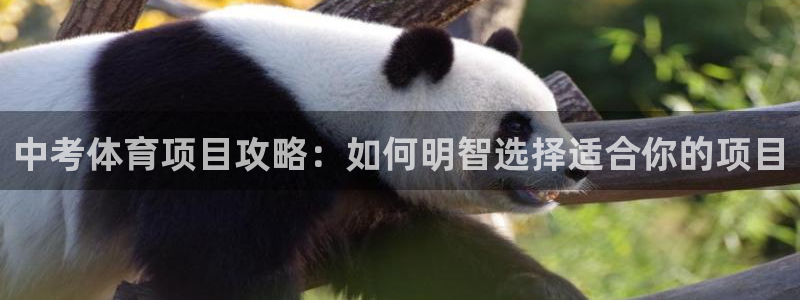 星欧娱乐属于什么档次的公司啊