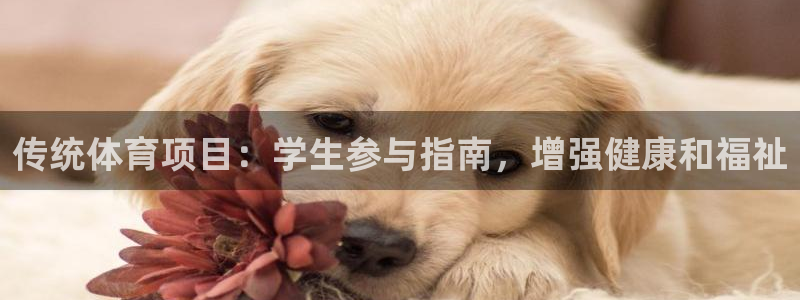 星欧娱乐是正规平台吗知乎文章