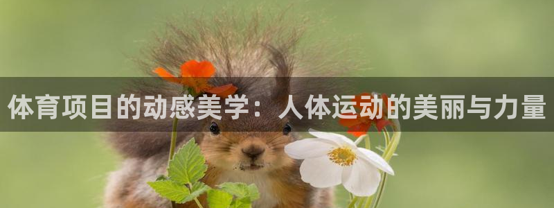 星奥娱乐微博