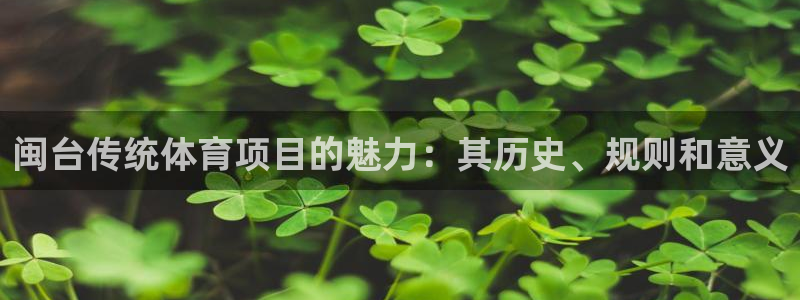 星欧娱乐联游戏评测