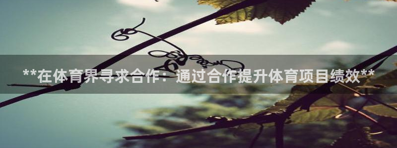 星欧娱乐最建议买的三个产品有哪些内容