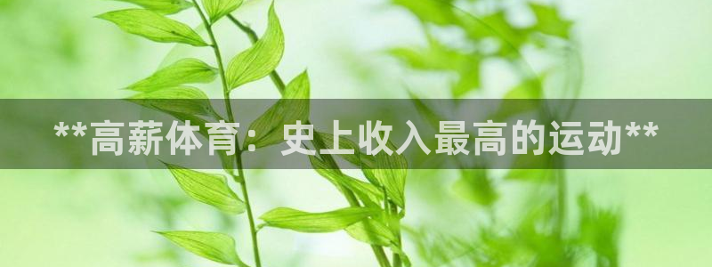 星奥娱乐集团股份有限公司怎么样