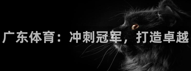 江苏星奥娱乐有限公司