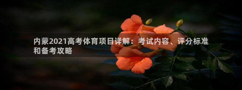 星欧娱乐挂机教程