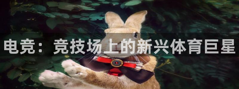 星欧娱乐平台