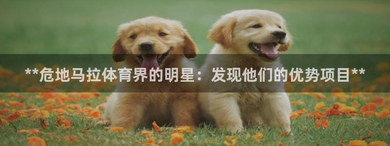星奥娱乐集团