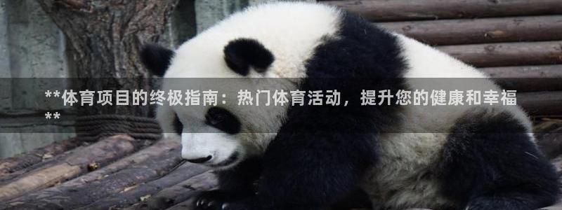 星欧娱乐挂机赚钱软件