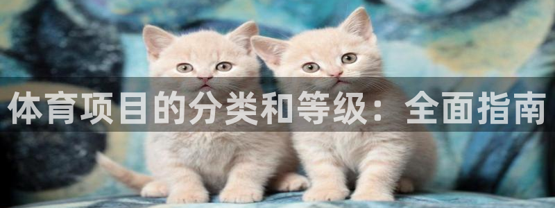 星奥娱乐招聘