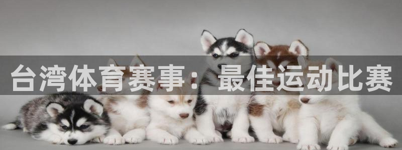 星欧娱乐的创始人背景故事介绍