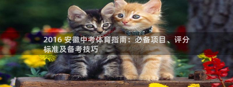 星欧娱乐官网首页下载