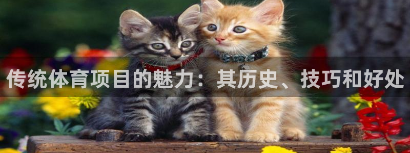 星欧娱乐下载最新版本更新内容