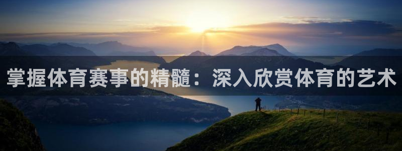 星欧娱乐平台测速线路设置