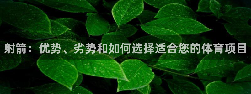 星欧娱乐伐官网注册