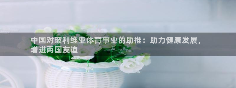 星欧娱乐公司