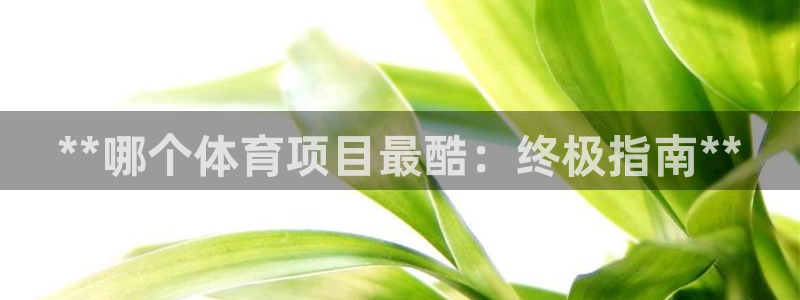 星欧娱乐的创始人背景故事是什么