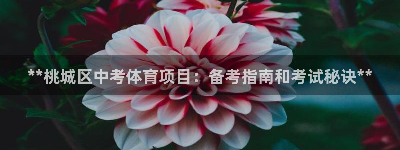 星娱乐文化传媒有限公司