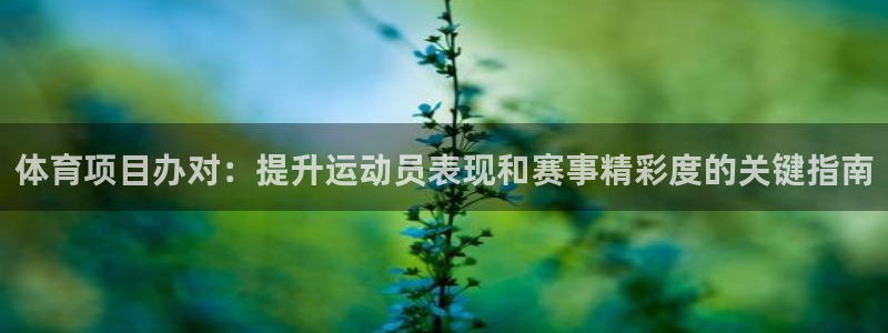 星欧娱乐平台怎么样啊可靠吗